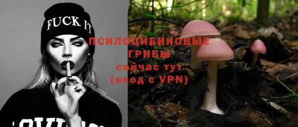дживик Краснотурьинск