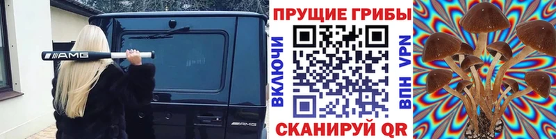 Галлюциногенные грибы Cubensis  hydra вход  Сосновый Бор 