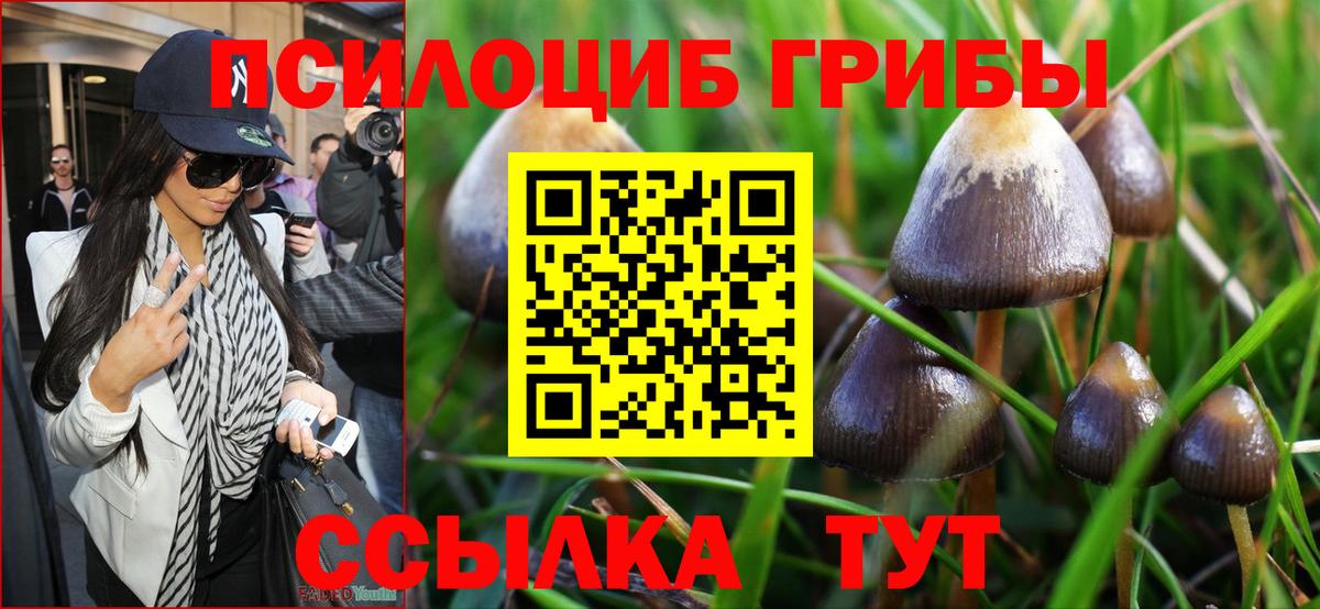 Псилоцибиновые грибы MAGIC MUSHROOMS Сосновый Бор